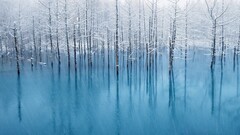 ice frozen lake nature Trees cold winter water outdoors snow