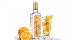 Ice vodka alcohol oranges