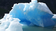 Icebergs eisberg blue-shade ice