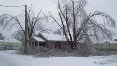 Icestorm tookfew in siloam