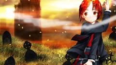 Ichigo mashimaro Anime