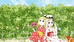 Ichigo mashimaro Anime