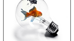 Idea high Got stereoscopic res anyone fishy pics