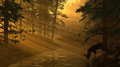 Idyll forest nature Games