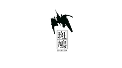Ikaruga fighter black on