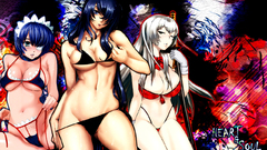 Ikki Tousen ryomou shimei