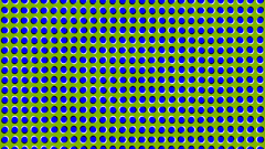 Illusions optical illusions