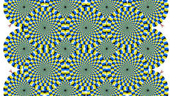 Illusions optical illusions