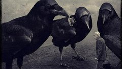 Illustrations giant hats Ravens