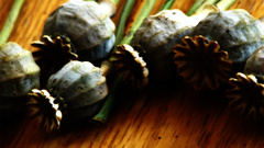 Im partners in crime