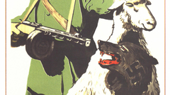 Image high Resolution 321