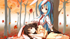 Imperishable Night blush shirts