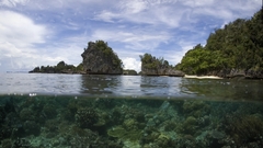 Indonesia seaweed split-view Islands