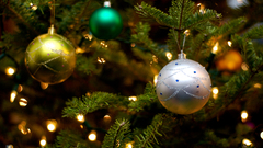 Indoors Christmas Holidays Christmas