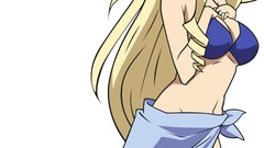 Infinite stratos Alcott Cecilia