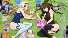 Infinite stratos Alcott Cecilia