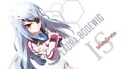 Infinite stratos Anime Bodewig