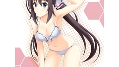 Infinite stratos Anime shinonono