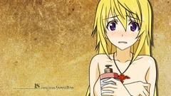 Infinite stratos Dunois Charlotte