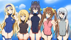 Infinite stratos Dunois Charlotte