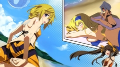 Infinite stratos Dunois Charlotte