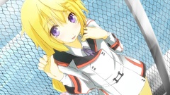 Infinite stratos Dunois Charlotte