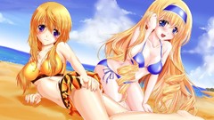 Infinite stratos Dunois Charlotte