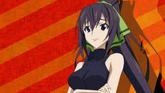 Infinite stratos shinonono houki