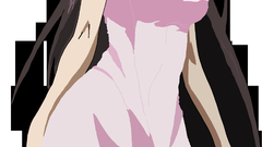 Infinite stratos shinonono houki