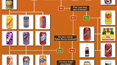 Infographics beverages drinks