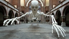 Interior Museum Bones Bricks hanging skulls skeletons arcs