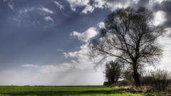 Intermezzo by realitydream