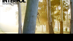 Interpol music bands