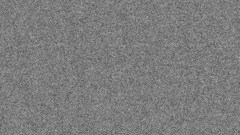 Interview ) With cat