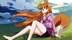 Inumimi tails spice and