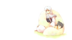 Inuyasha Sesshomaru white background