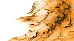 Invert might have or