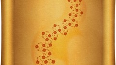 Iran Khamenei Imam Rahbar