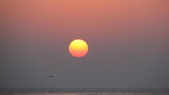 Iran persian gulf kish island