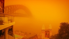 Is friend of Bridges