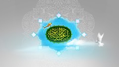 Islam iran shia imam reza