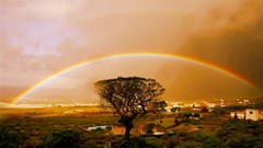 Islam rainbows mosques HDR Photography Muslim islamic al aqsa