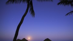 Islands Hawaii palm trees moonrise oahu