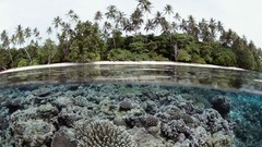Islands palm trees split-view coral reef Solomon Islands