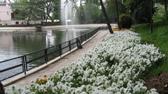 Istanbul beyaz yıldız parkı