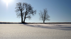 It Gentlemen give me