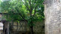 Italy and otherplaces 656