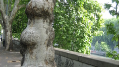 Italy and otherplaces high