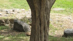 Italy and otherplaces high