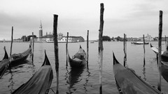 Italy venice gondolas